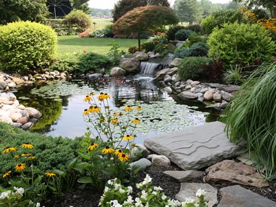 Garden Ponds